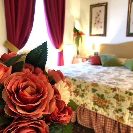 Joivy Together Secret Nest Otel