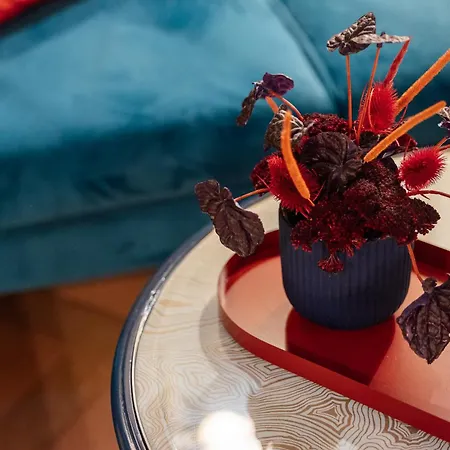 Joivy Together Secret Nest 3*