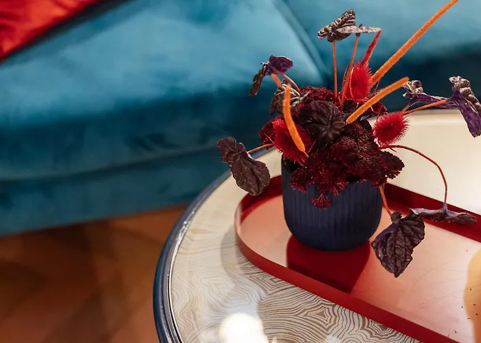 Joivy Together Secret Nest 3*