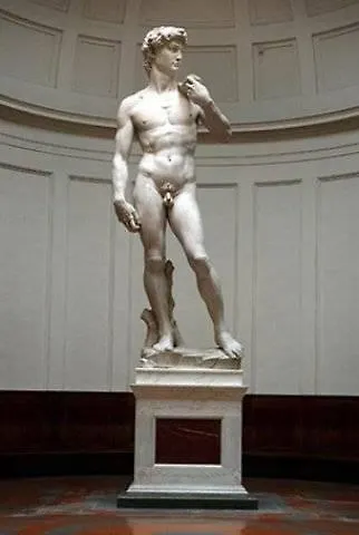 Joivy Together Secret Nest