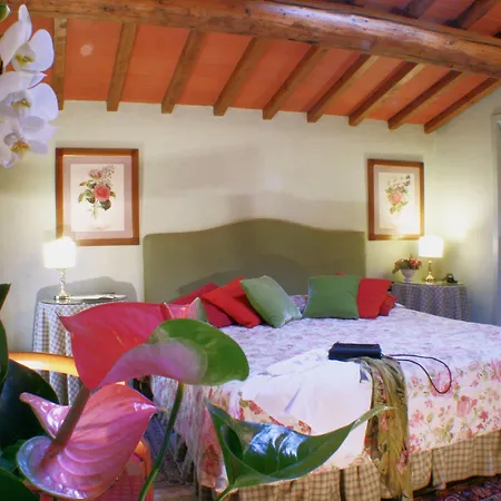 Joivy Together Secret Nest Hotel Florence